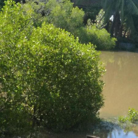 טנגלה Rock Pool Residence מראה חיצוני תמונה