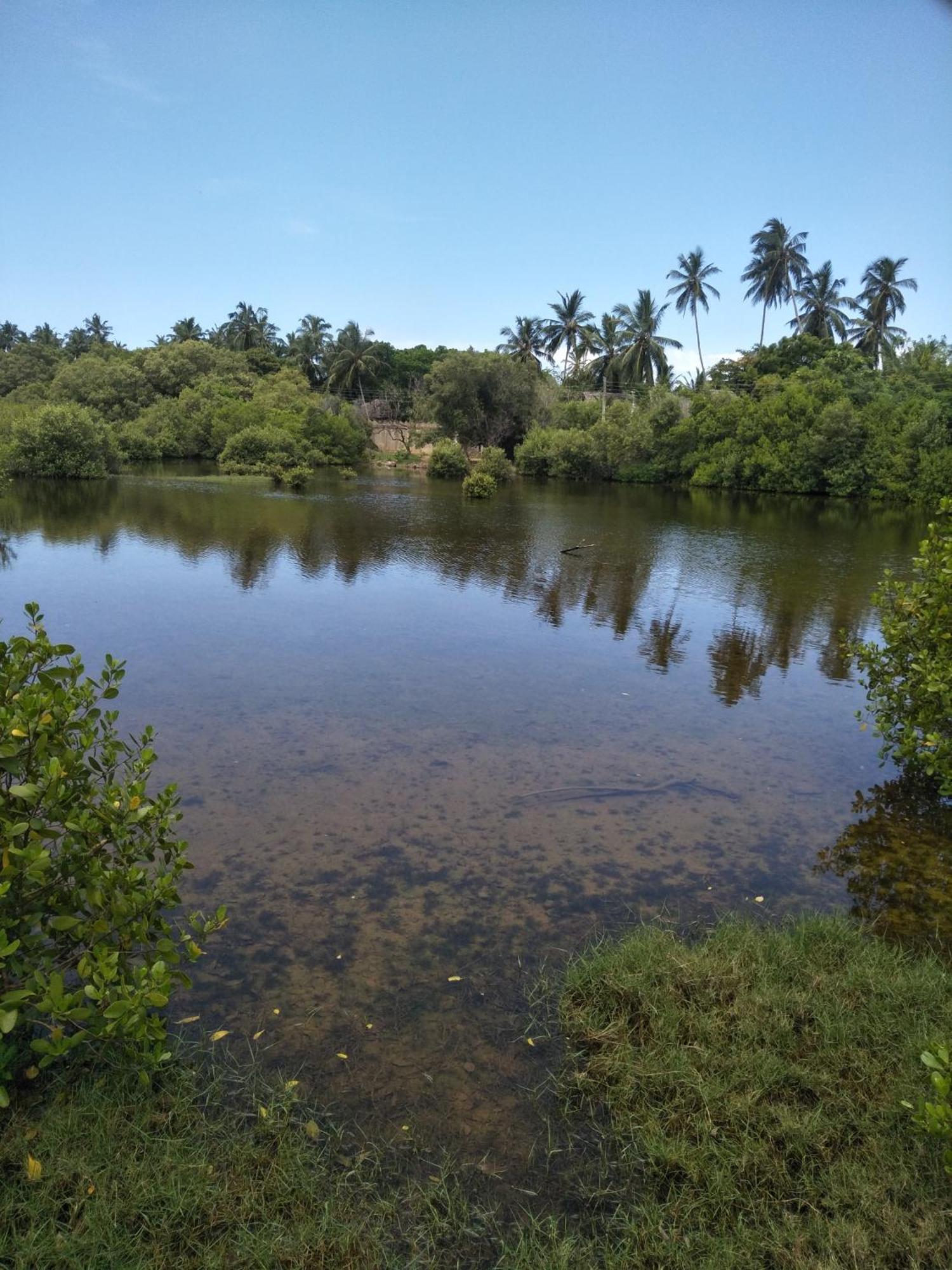 טנגלה Rock Pool Residence מראה חיצוני תמונה