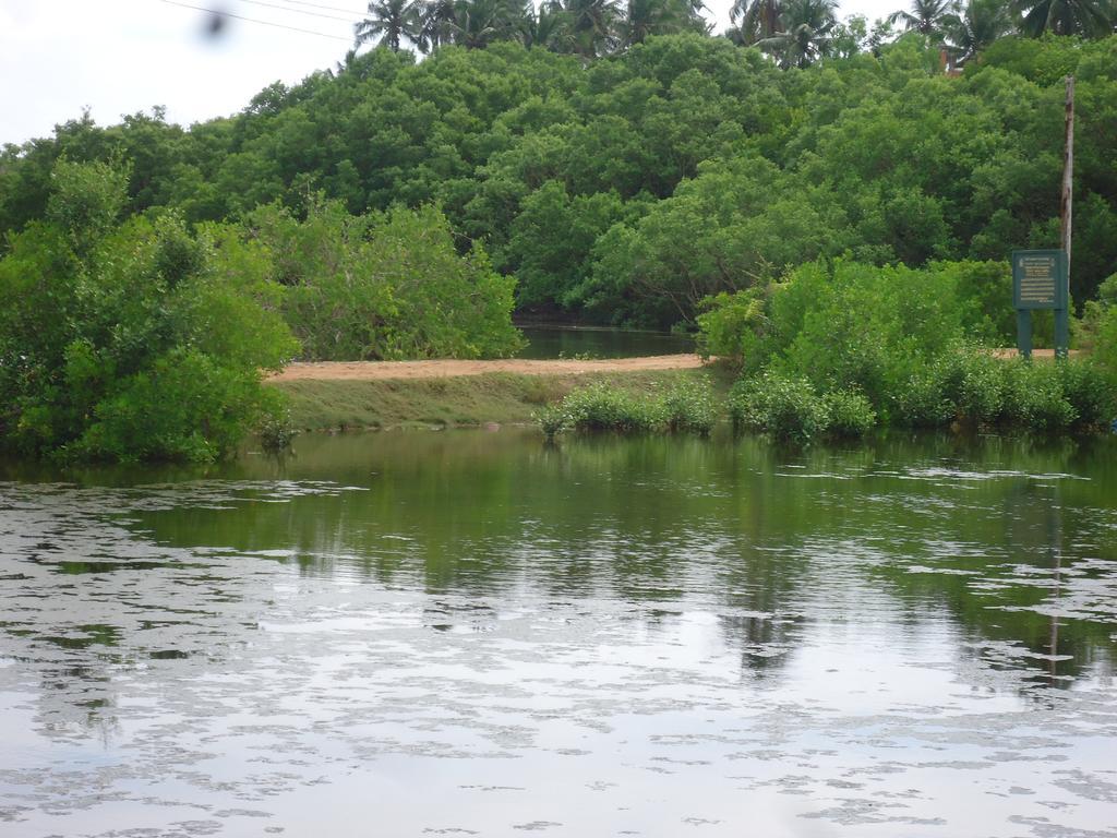 טנגלה Rock Pool Residence מראה חיצוני תמונה