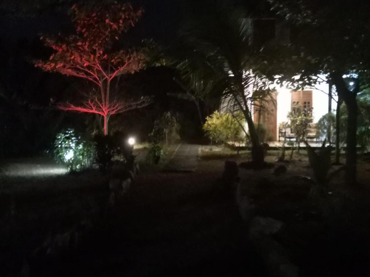 טנגלה Rock Pool Residence מראה חיצוני תמונה